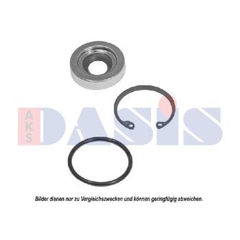 Dichtring -- AKS DASIS, Kupplung/Spule/Zylinderkopf, Sealing ring...
