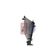 Kühler, Motorkühlung AKS DASIS 080108N für FIAT BRAVO II (198_) GRANDE PUNTO (…