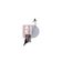 Ladeluftkühler AKS DASIS 087005N für FIAT GRANDE PUNTO (199_) PUNTO EVO (199_) …