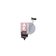 Intercooler, charger -- AKS DASIS, FIAT, 500L (351_, 352_), (199_), ...