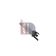 Ladeluftkühler AKS DASIS 087016N für FIAT LINEA (323_, 110_) GRANDE PUNTO (199_…