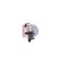 Ladeluftkühler AKS DASIS 087036N für FIAT PANDA (312_, 319_) 500 (312_) 500 C (…