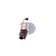 Ladeluftkühler AKS DASIS 097005N für FORD MONDEO III (B5Y) MONDEO III Stufenheck…