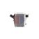 Ladeluftkühler AKS DASIS 107002N für HONDA CR-V III (RE_…
