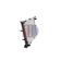 Kühler, Motorkühlung AKS DASIS 180062N für RENAULT CLIO III (BR0/1, CR0/1…