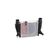 Ladeluftkühler AKS DASIS 187009N für RENAULT CLIO III (BR0/1, CR0/1) CLIO …