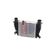 Ladeluftkühler AKS DASIS 187009N für RENAULT CLIO III (BR0/1, CR0/1) CLIO …