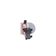 Ladeluftkühler AKS DASIS 187034N für RENAULT TWINGO II (CN0_…