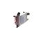 Ladeluftkühler AKS DASIS 187050N für RENAULT CLIO IV (BH_…