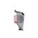 Kühler, Motorkühlung AKS DASIS 210098N für TOYOTA RAV 4 II (_A2_…
