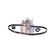 Wasserpumpe + Zahnriemensatz AKS DASIS 570301N für FIAT SCUDO Combinato (220_) …